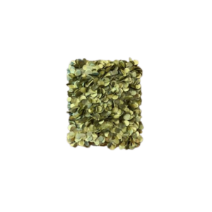 Olive Green Flutter Pillow