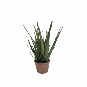 16" Faux Aloe Vera Plant in a Brown Ceramic Pot