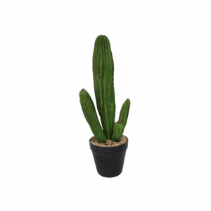 16" Green Cacti in Black Pot