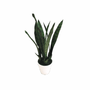 19" Green Faux Snake Plant in White Pot