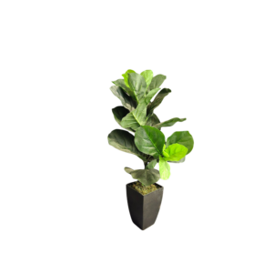 34" Fiddle Leaf Tree Faux Small