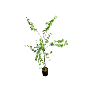 4'5" Enkianthus Faux Tree Small