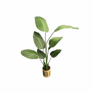 Seasonal Styling & Accessories