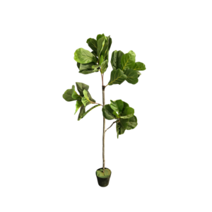5' Fiddle Leaf Tree Faux