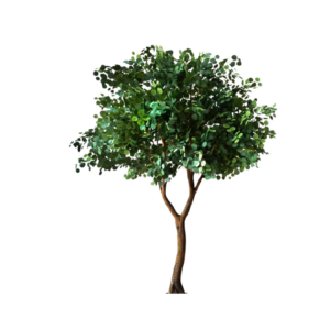 Faux 9' Tall Dark Green Eucalyptus