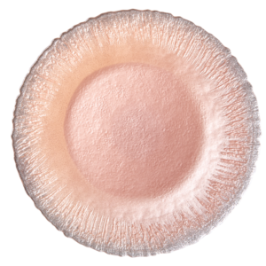 Soft Salmon Icicle Silver Glitter Charger Plate