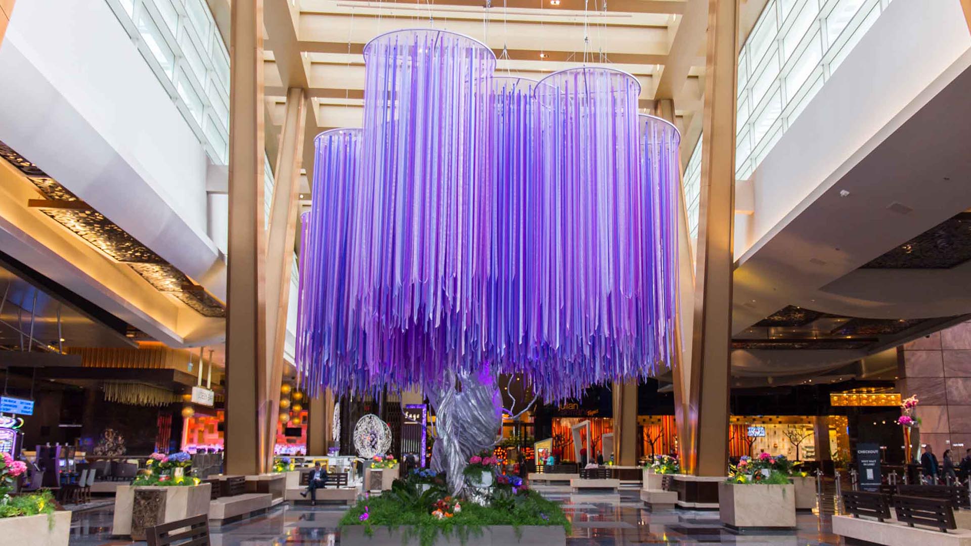 DBD10325_2660x1314_Gallery_Tree1