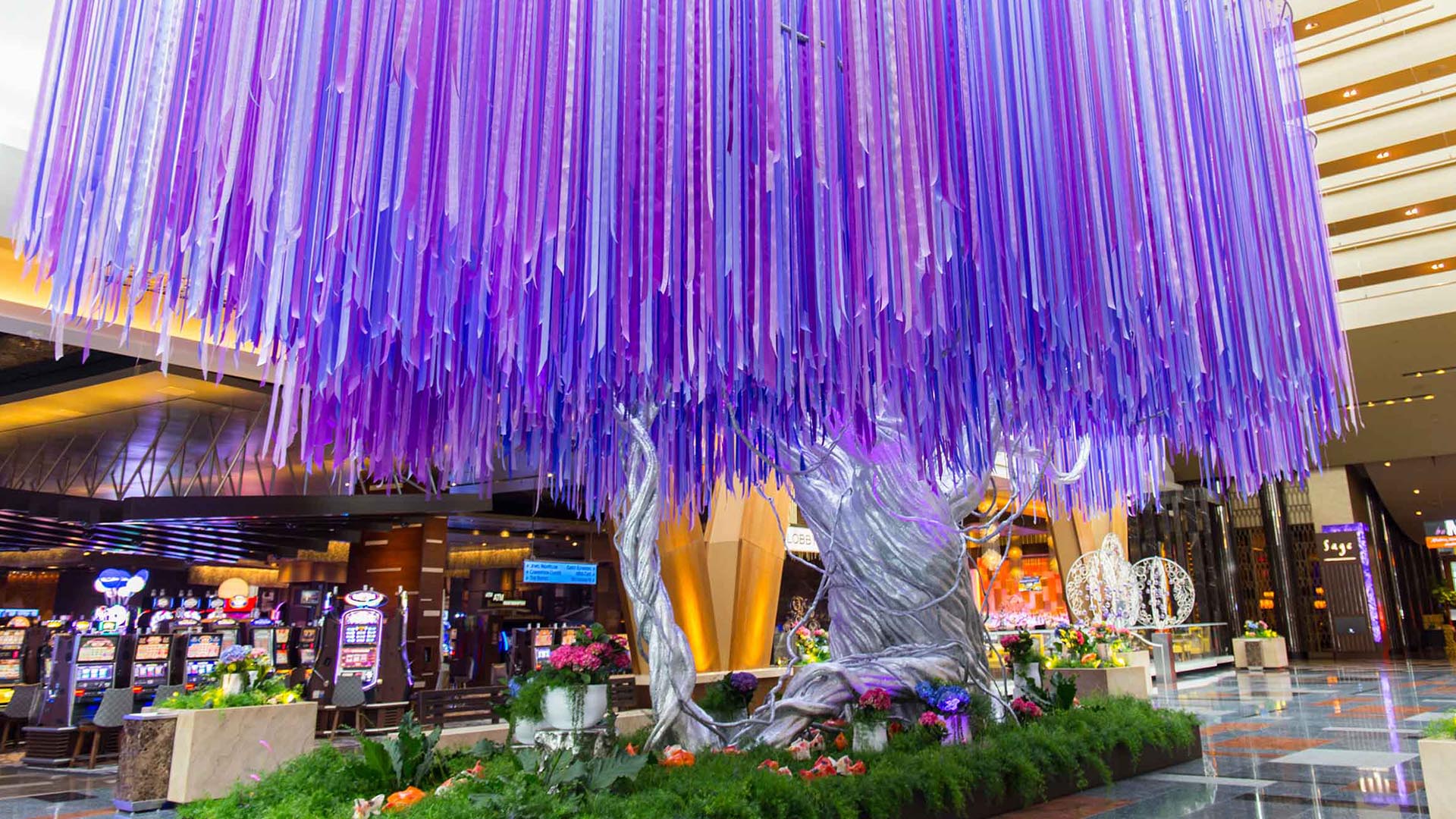 DBD10325_2660x1314_Gallery_Tree4