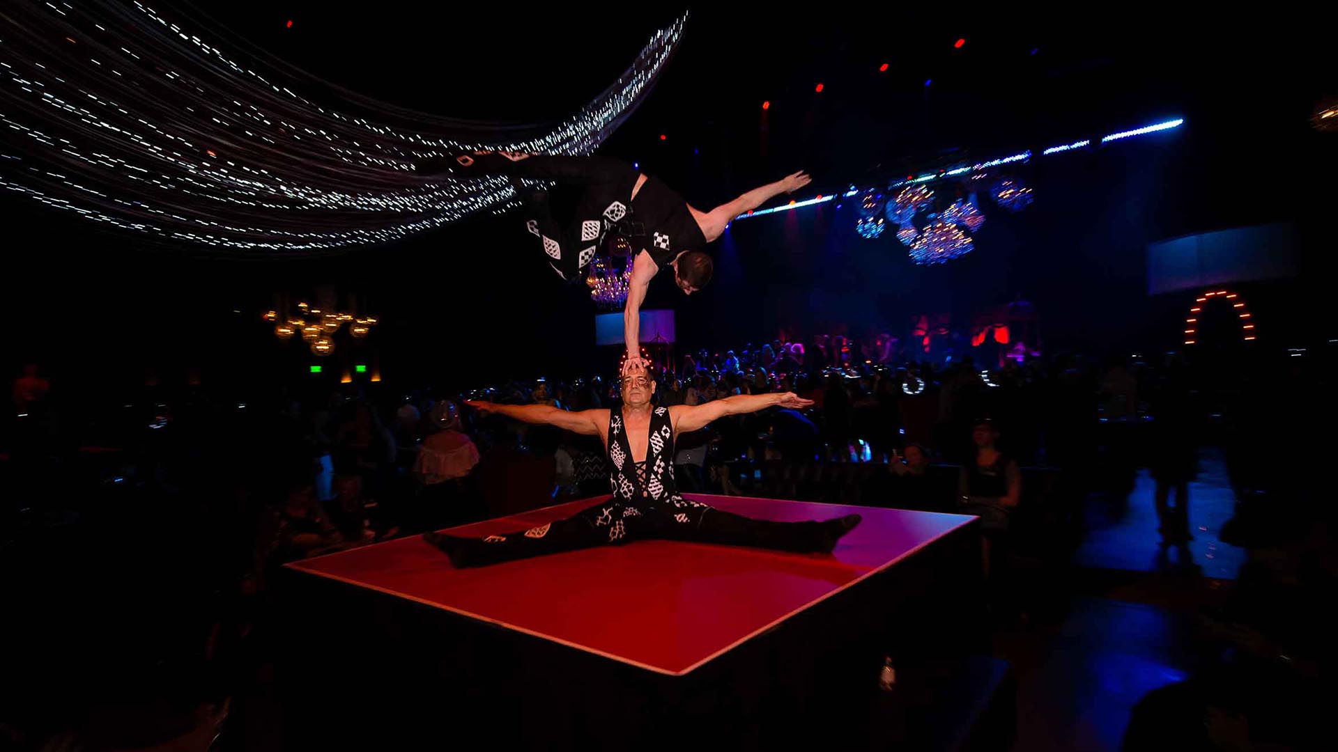 DBD_CaseStudy_Reveal_Gallery5