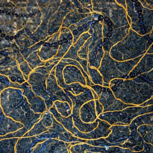 90"X90" Gold & Blue Spun Sequin Overlay